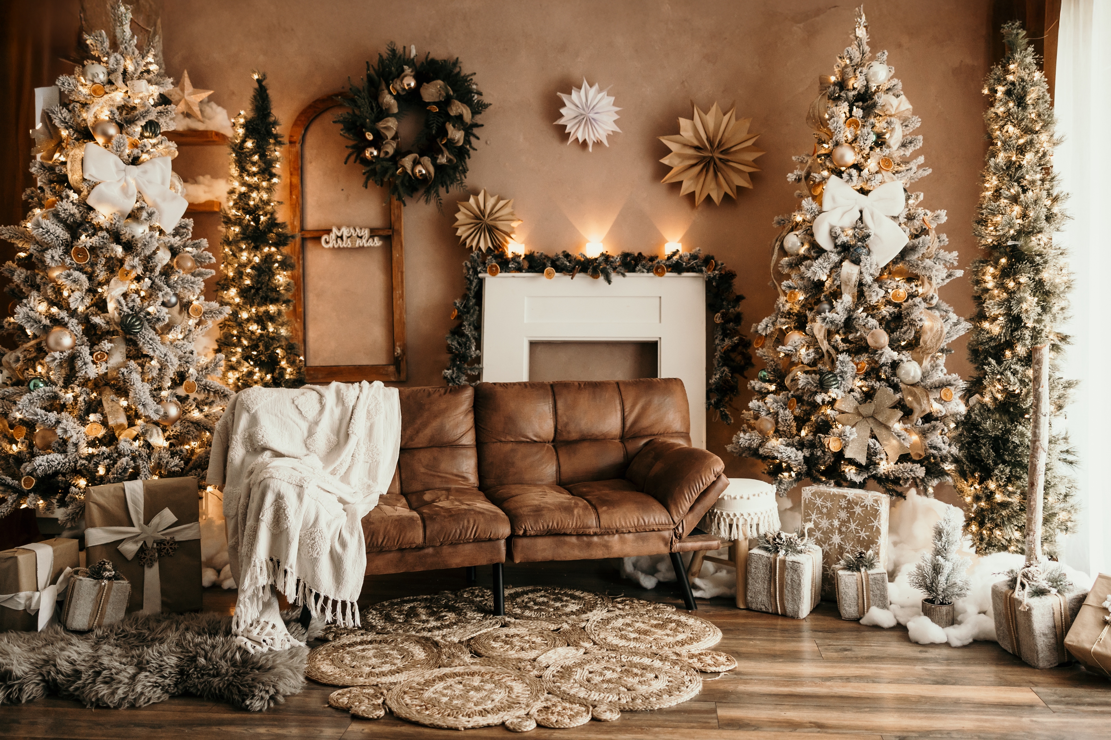 Hamilton Christmas Mini Sessions