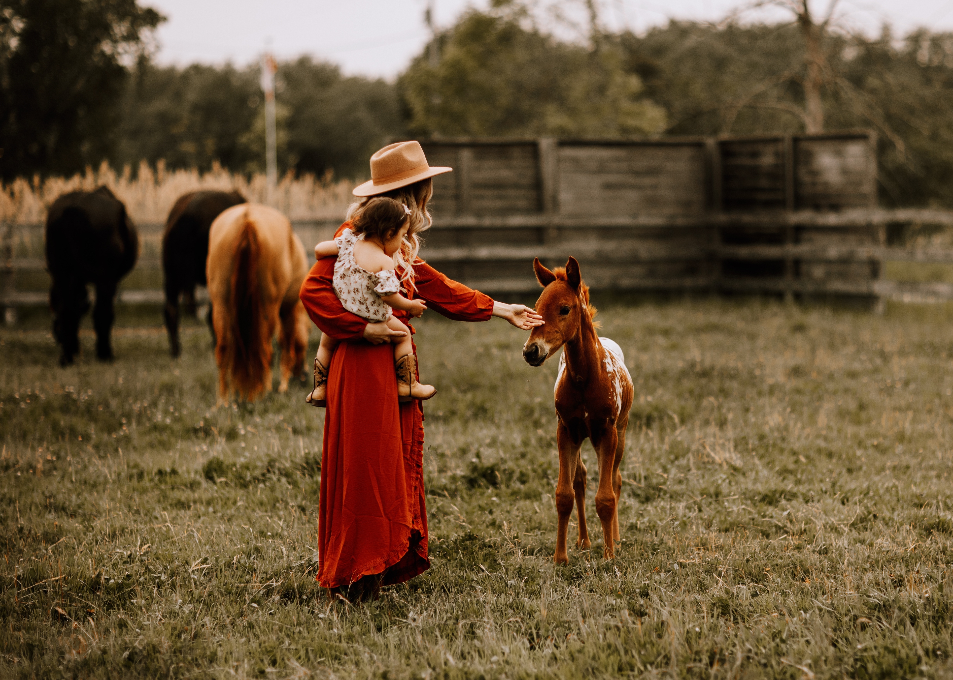 Western Photoshoots at Green Acres – A Timeless Trend with Rustic Elegance