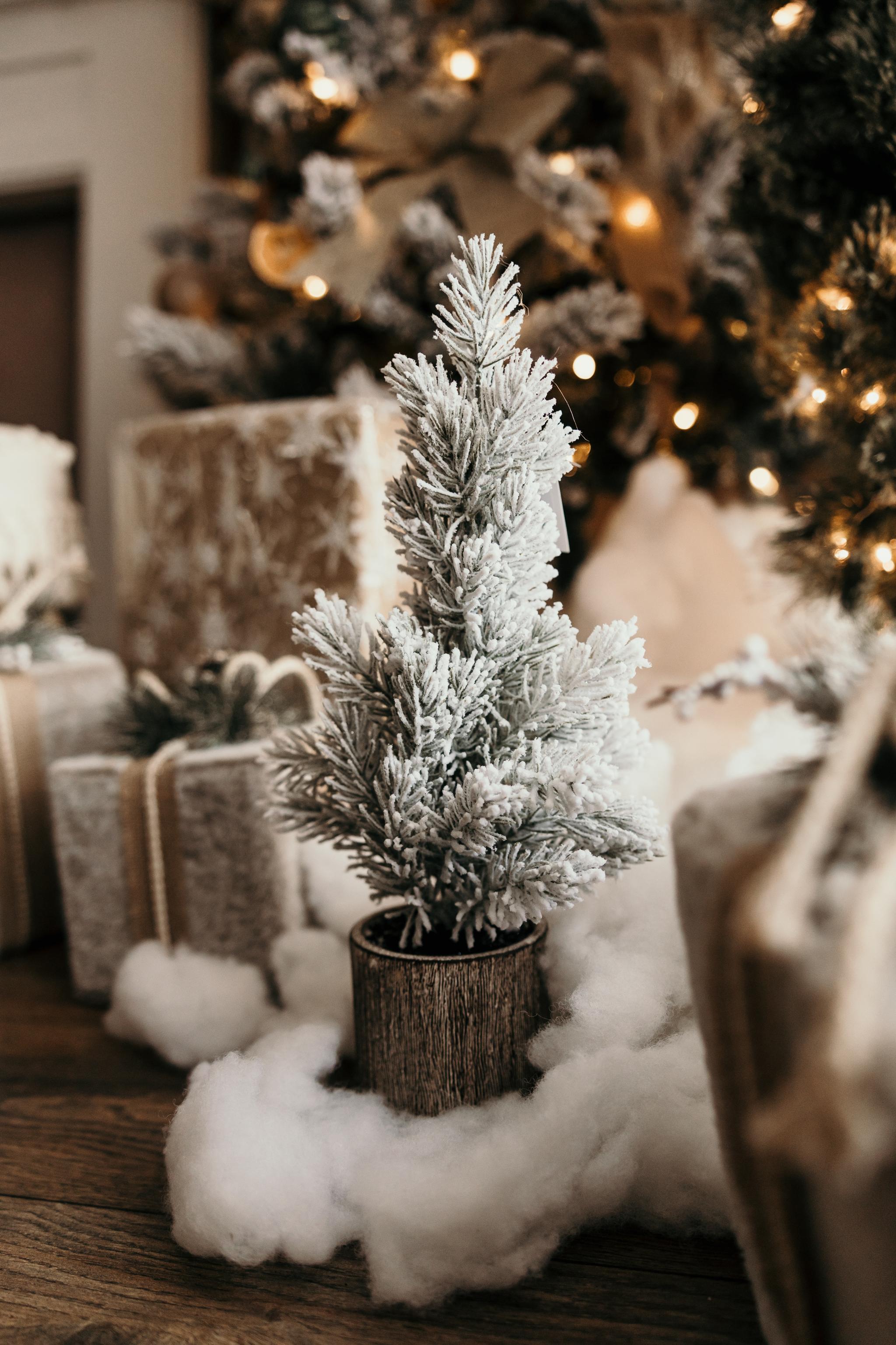 Hamilton Christmas Mini Sessions