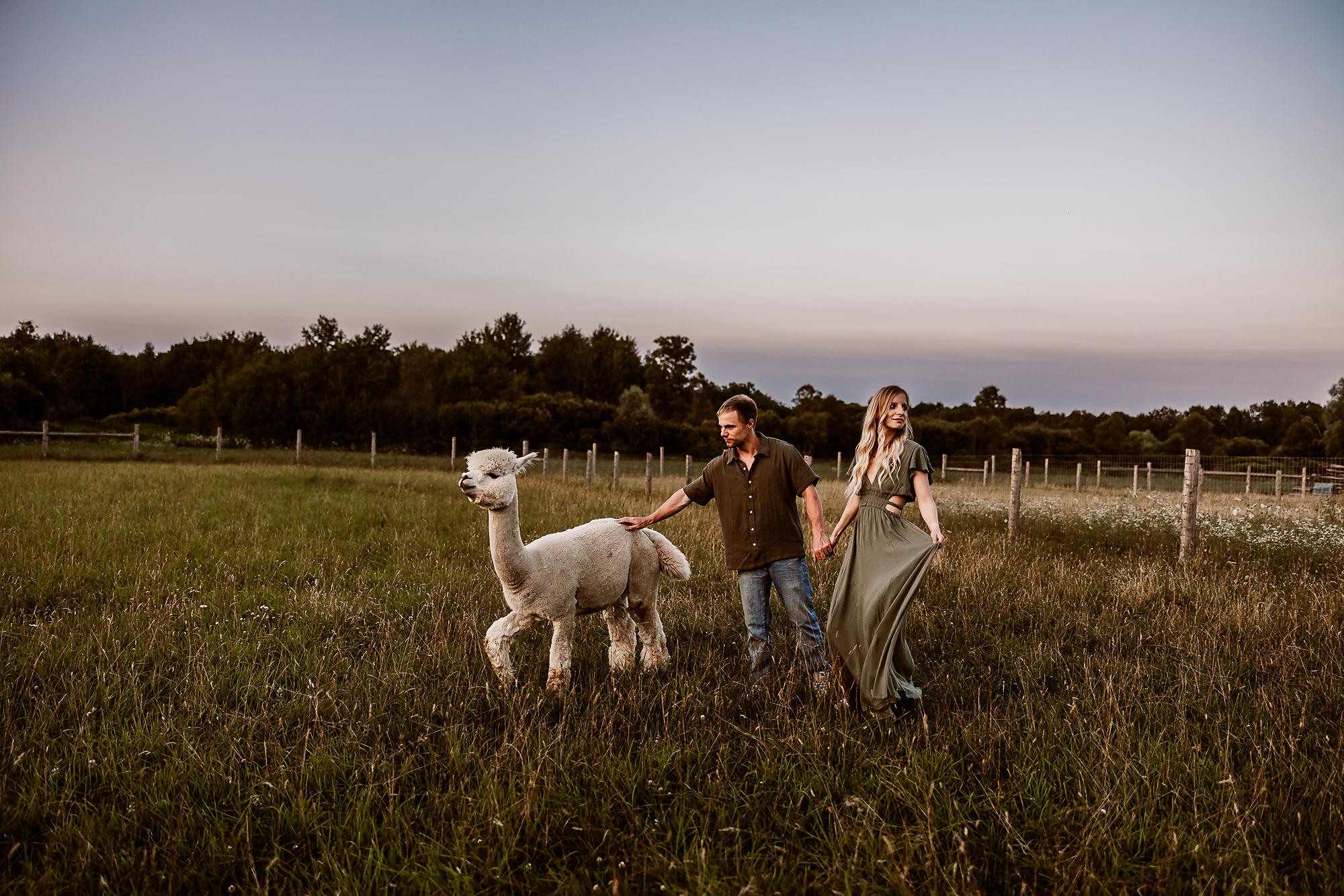 Alpacas, Laughter & Love: A Dreamy Engagement Session at All In Alpacas – Rockwood, Ontario