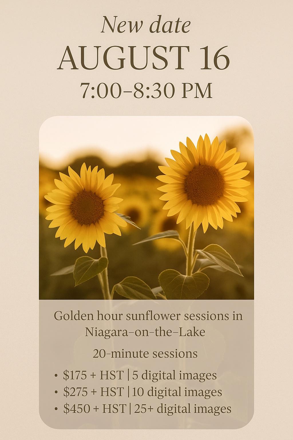 Sunflower Sessions at The Bloom Orchard: Golden Hour Magic in Niagara-on-the-Lake 🌻