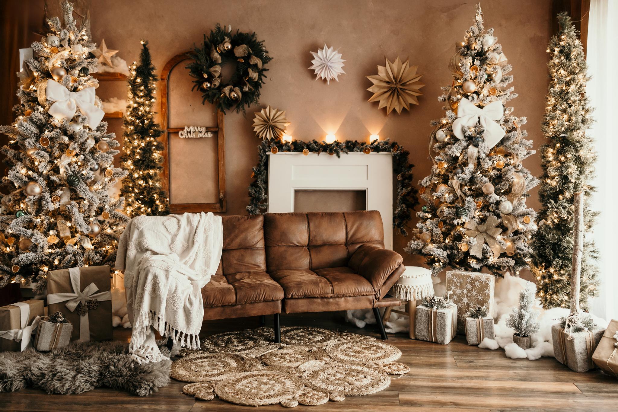 Hamilton Christmas Mini Sessions